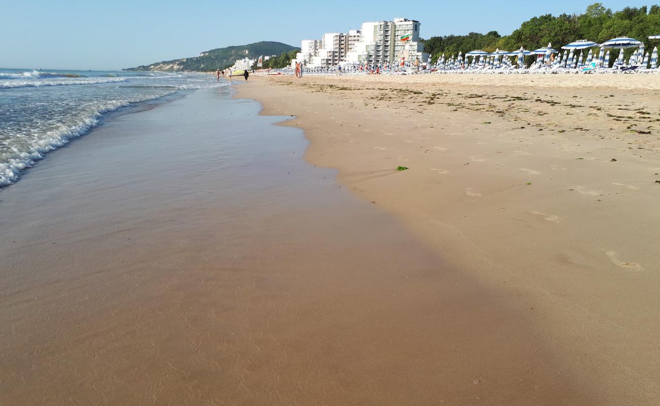 Foto de Playa de Albena con brillante arena fina superficie