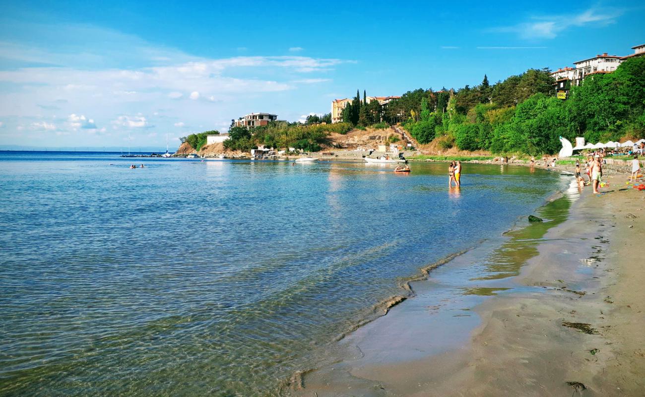 Foto de Zlatna ribka beach con arena brillante superficie