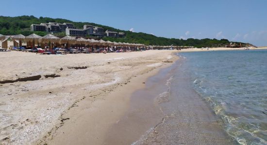 Playa de Arkutino