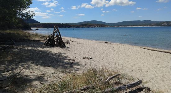 Small Shady beach