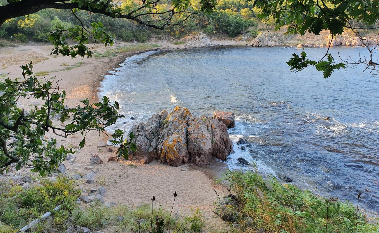 Foto de St.Paraskeva's beach con arena brillante superficie