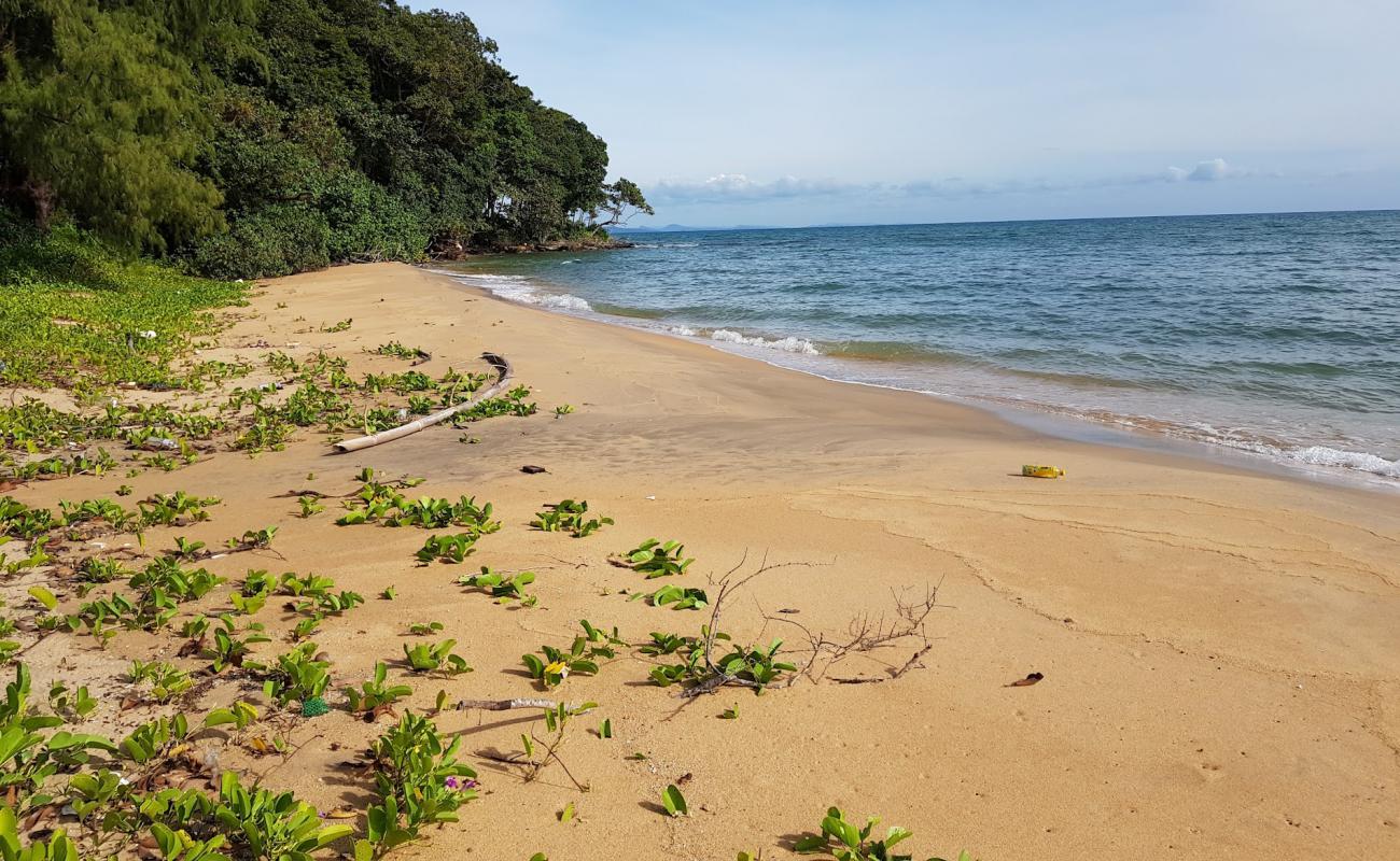 Foto de Lady's Headland con arena brillante superficie