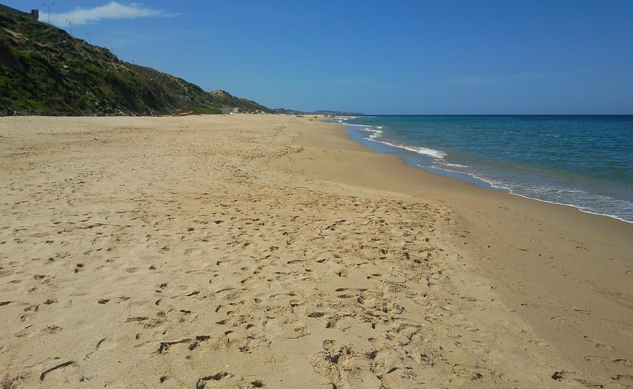 Foto de Reghaia beach con brillante arena fina superficie