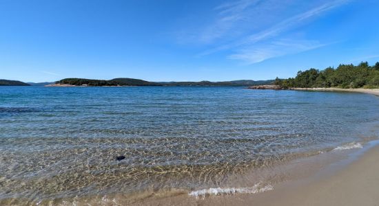 Cummings Beach