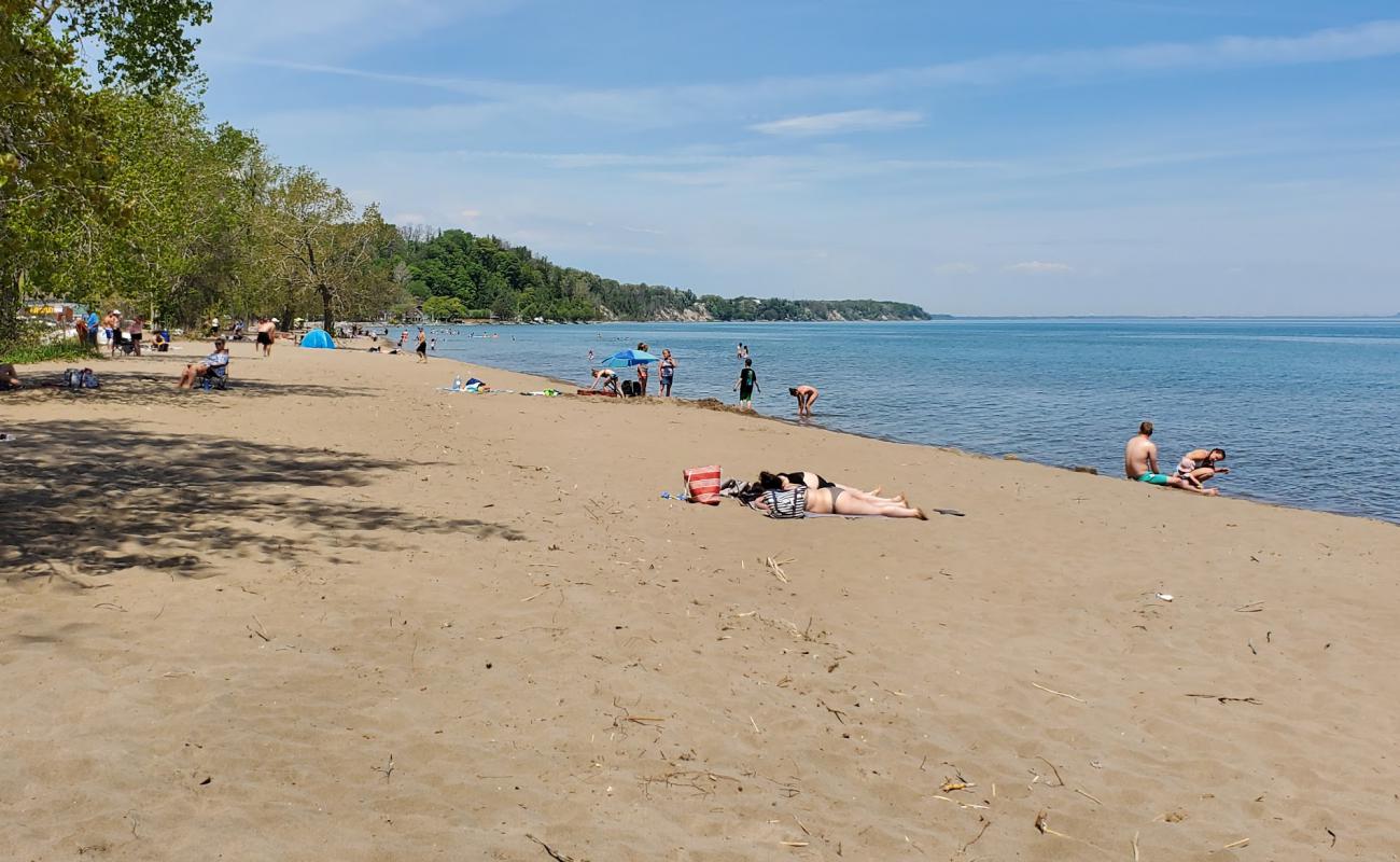 Foto de Turkey Point Beach con arena brillante superficie