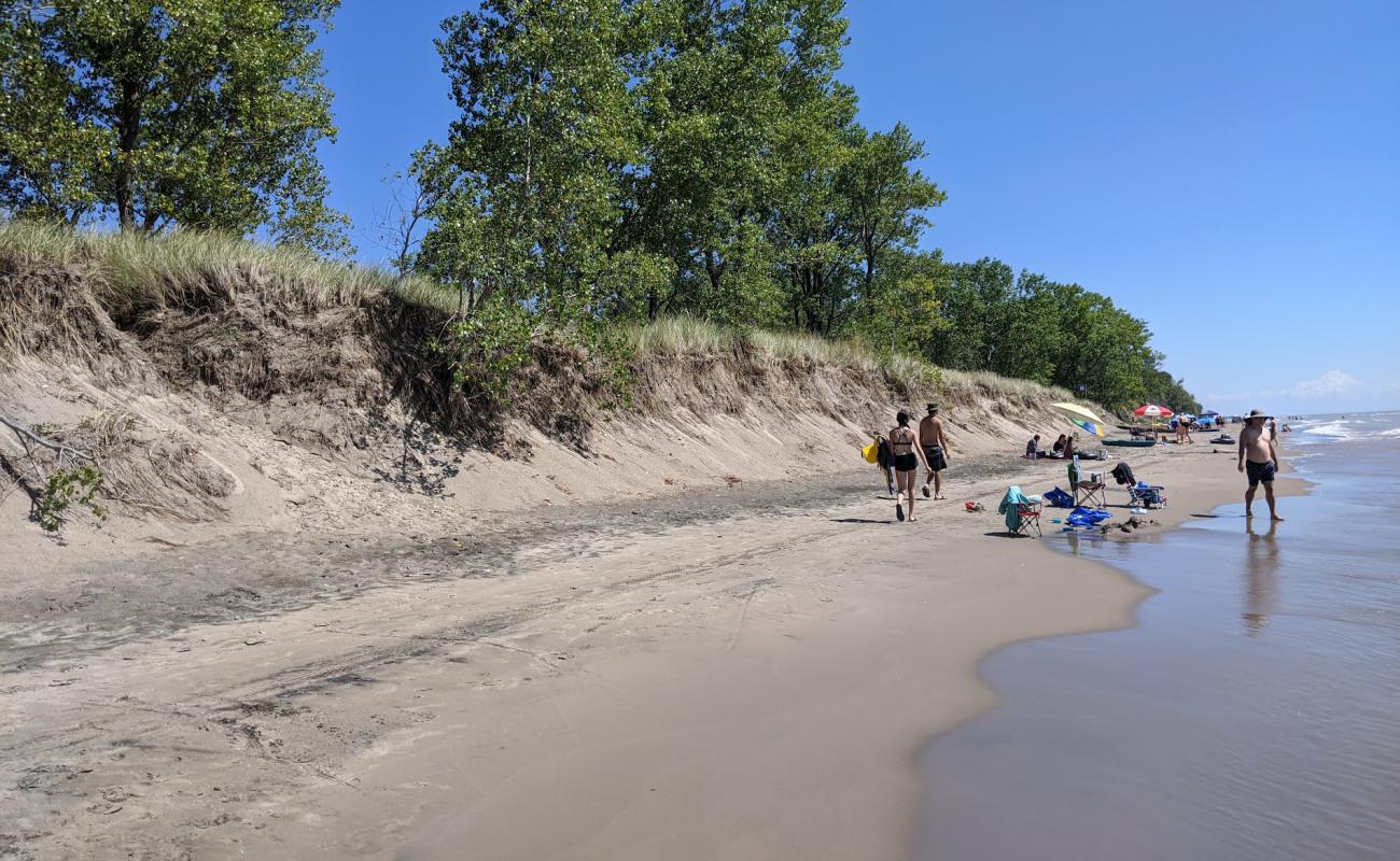 Foto de Long Point Public Beach con arena brillante superficie