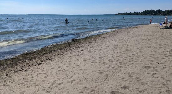 Seacliff beach