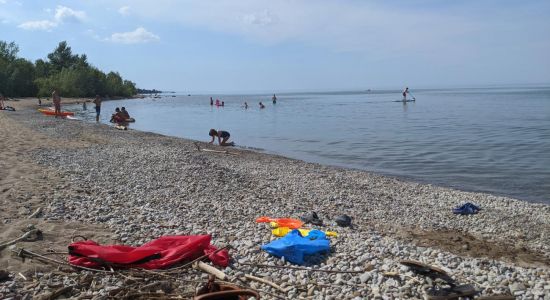 Peasemarsh Beach