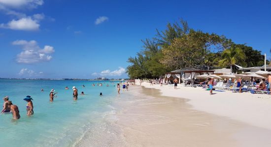 Playa de Royal Palms