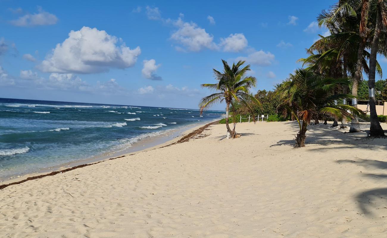 Foto de Conch Point beach con guijarro fino negro superficie