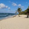 Conch Point beach