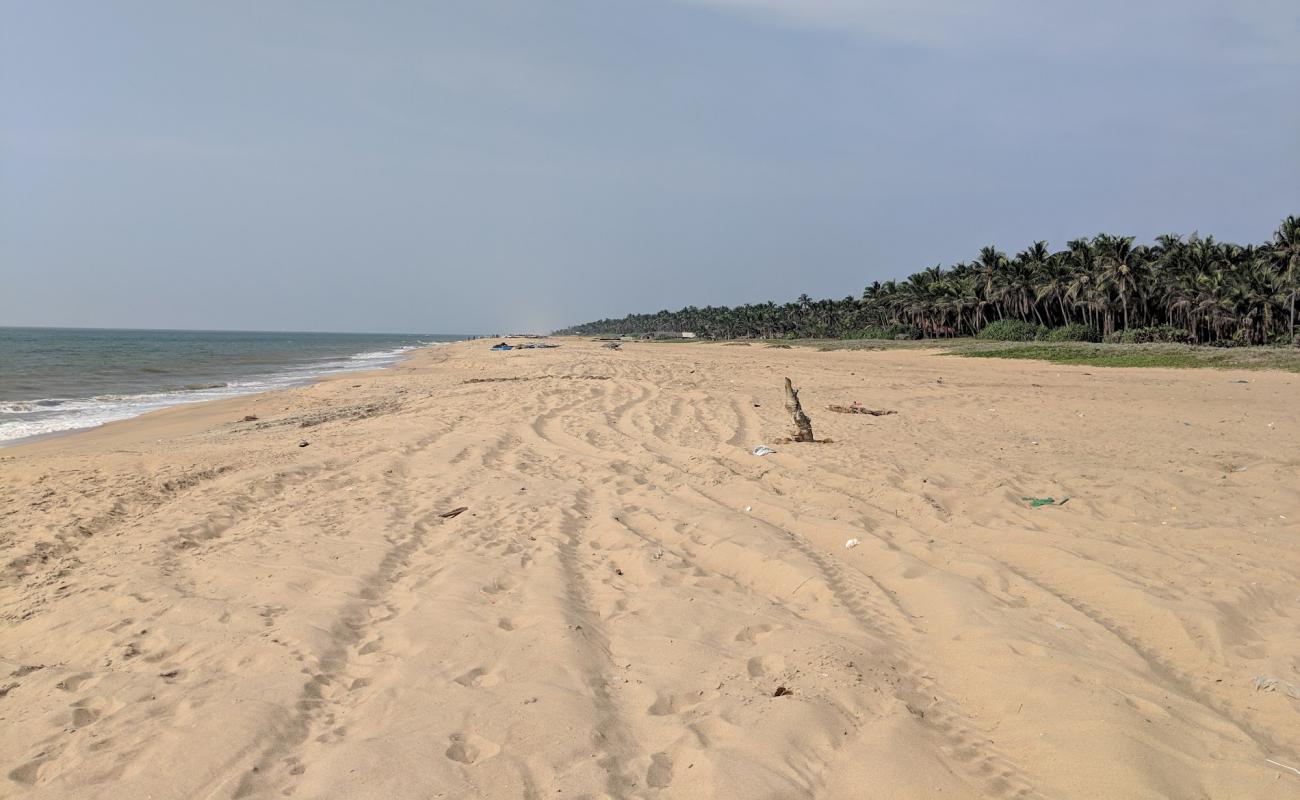 Foto de Udappuwa Beach con arena brillante superficie