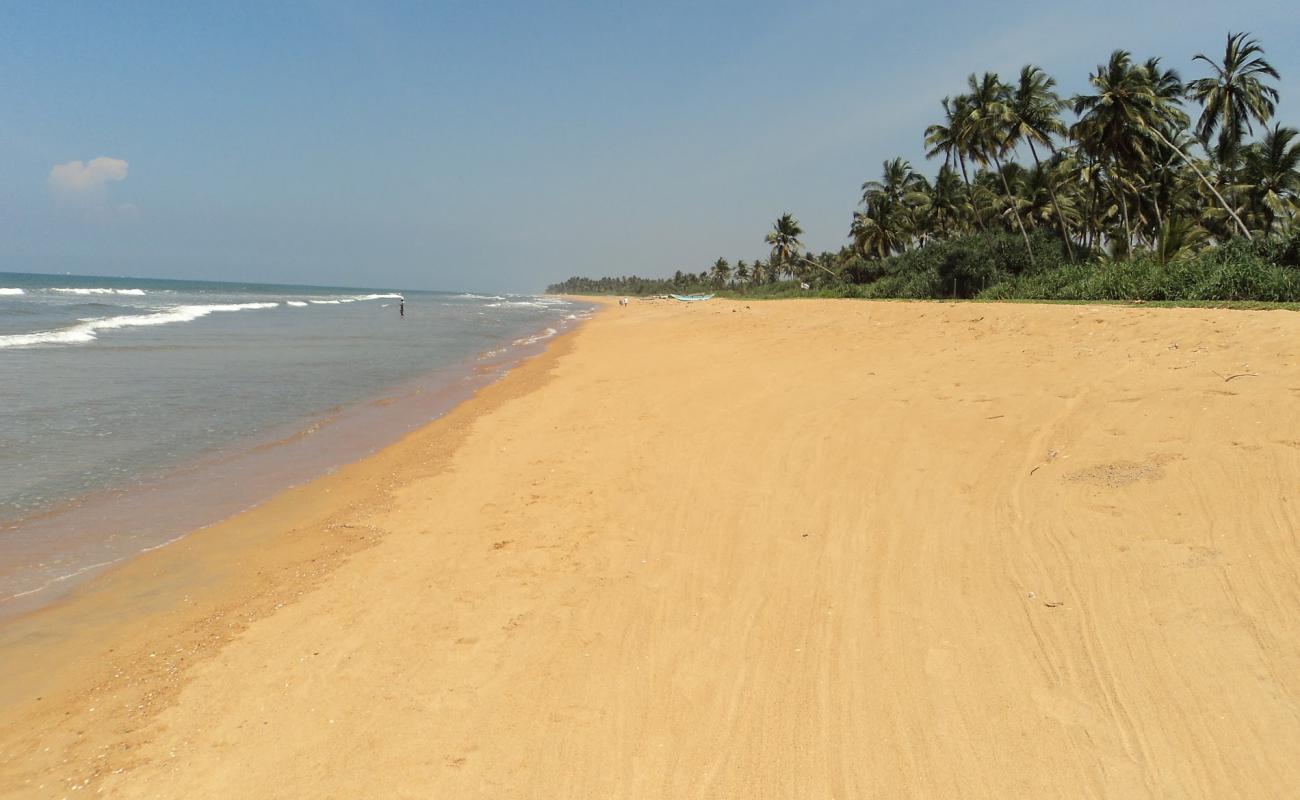 Foto de Pinwatte beach con arena brillante superficie