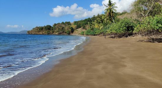 Musical Beach