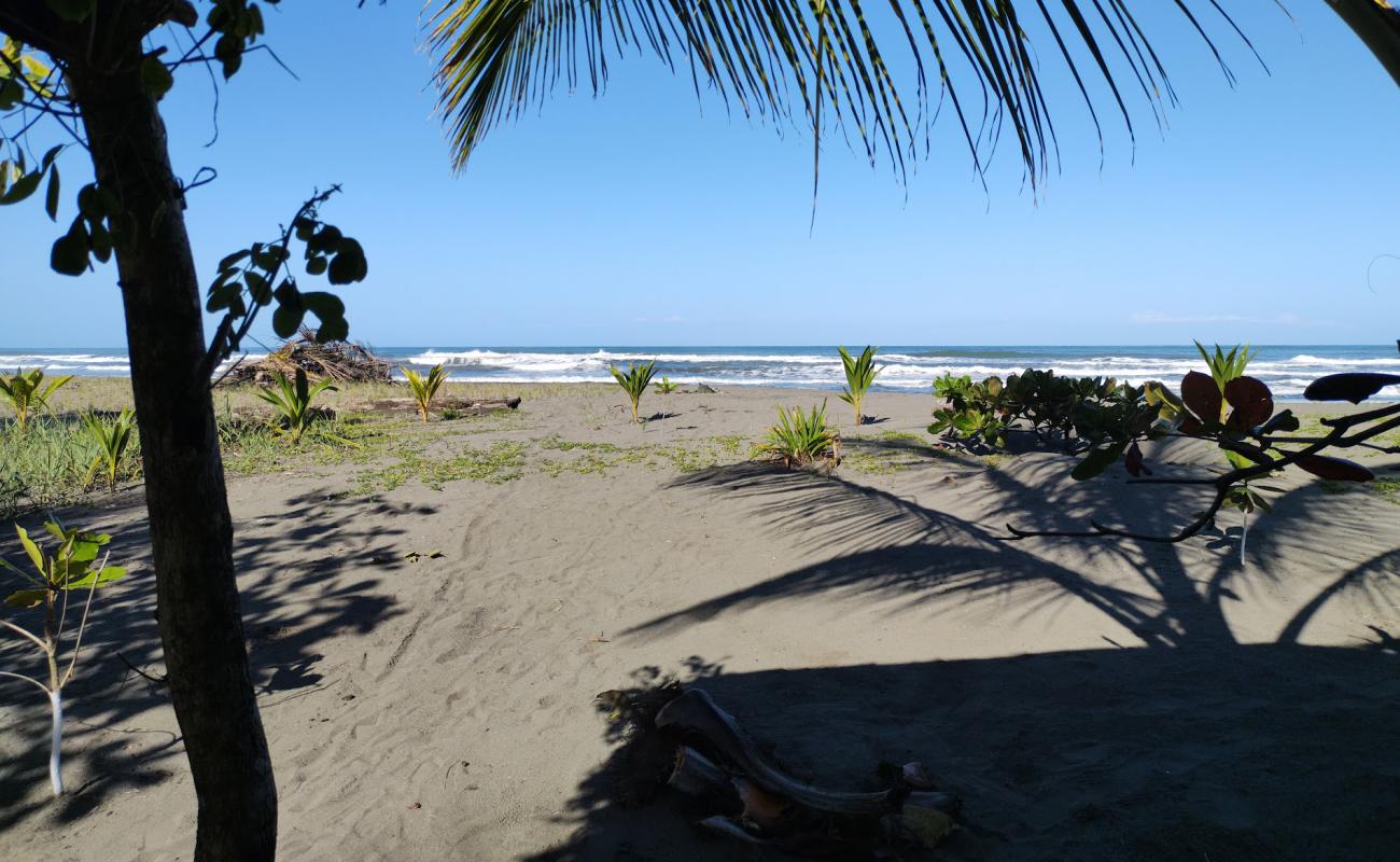 Foto de Playa Bananito con arena gris superficie