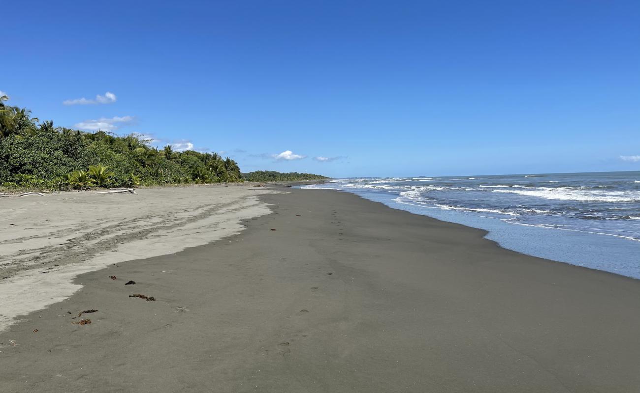 Foto de Palmeras beach con arena gris superficie