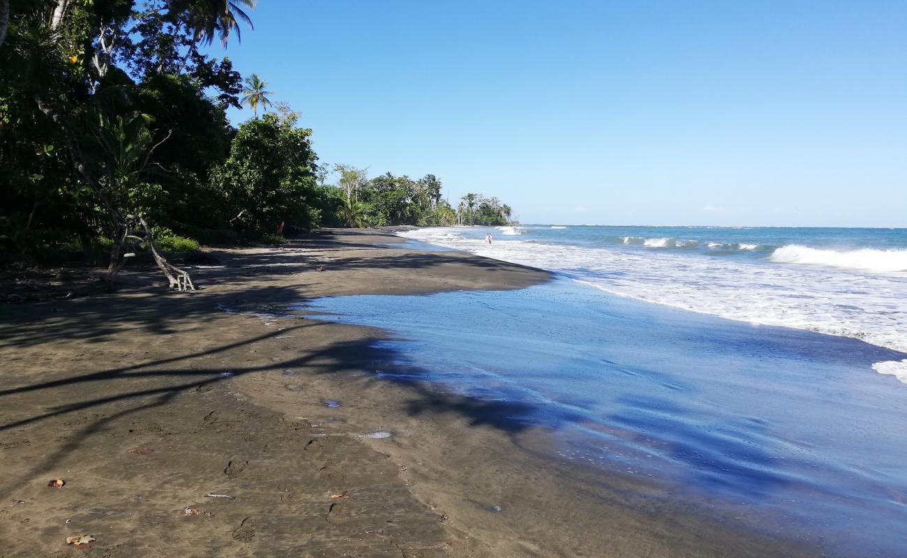 Foto de Puerto Viejo beach con arena brillante superficie