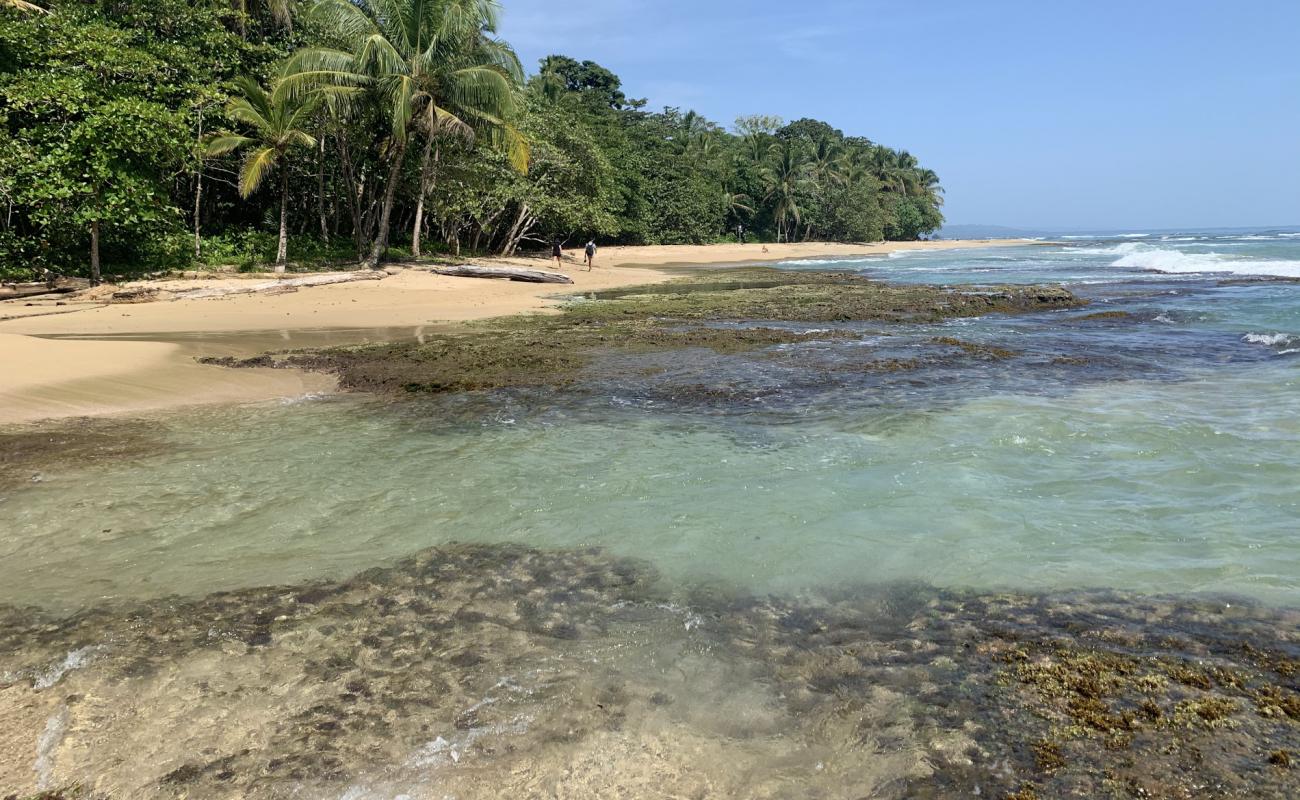 Foto de Chiquita beach con arena brillante superficie