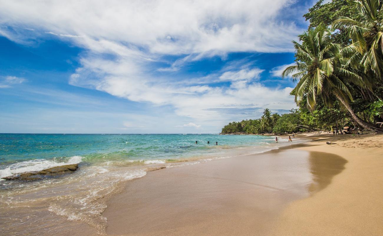 Foto de Punta Uva beach con brillante arena fina superficie