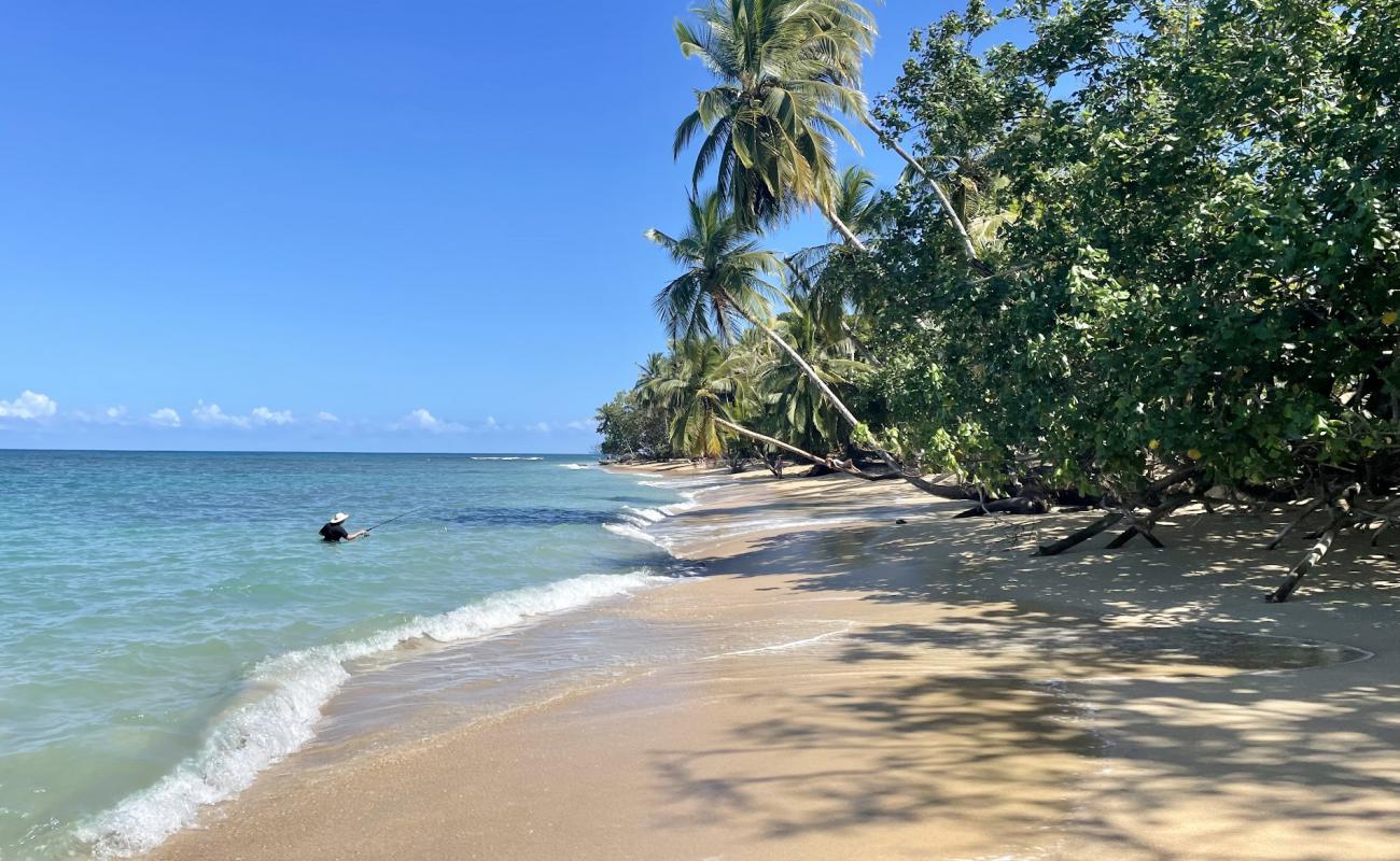 Foto de Playa Punta Uva II con brillante arena fina superficie