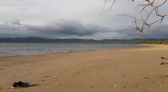 Pochotes beach