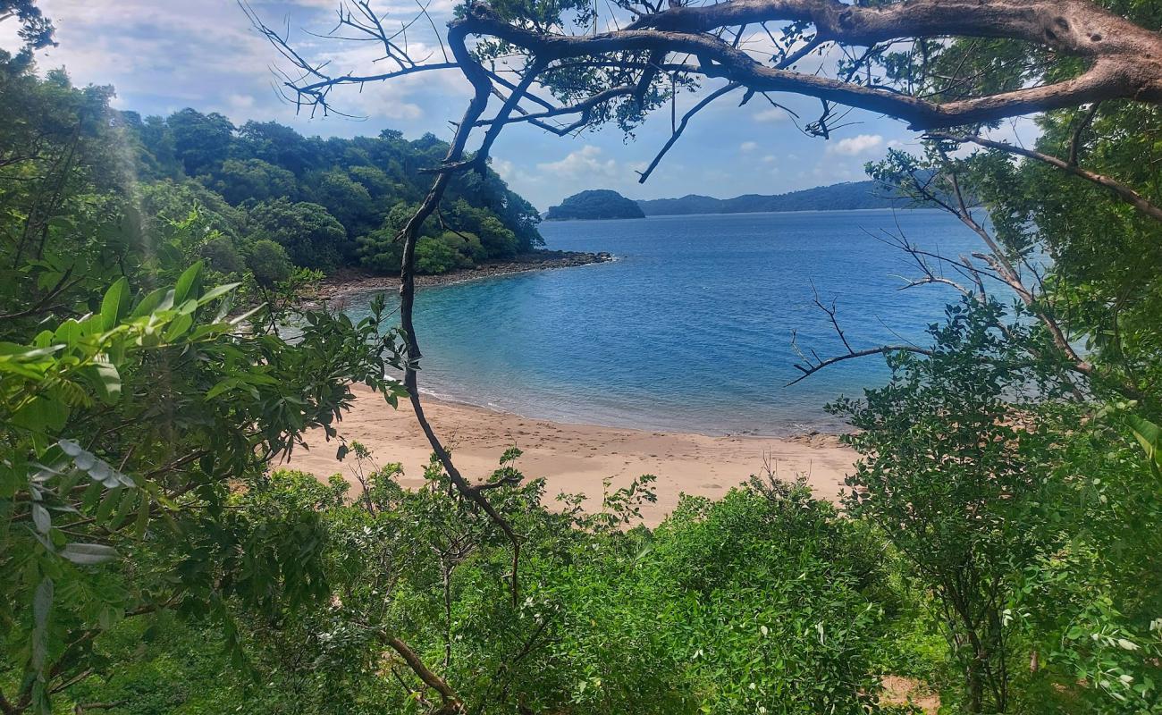 Foto de Macaya beach con arena brillante superficie