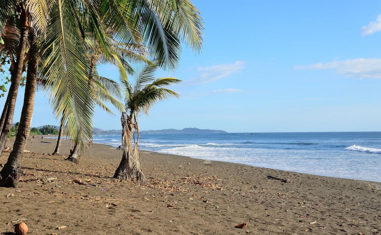 Foto de Playa del Ostional con arena gris superficie