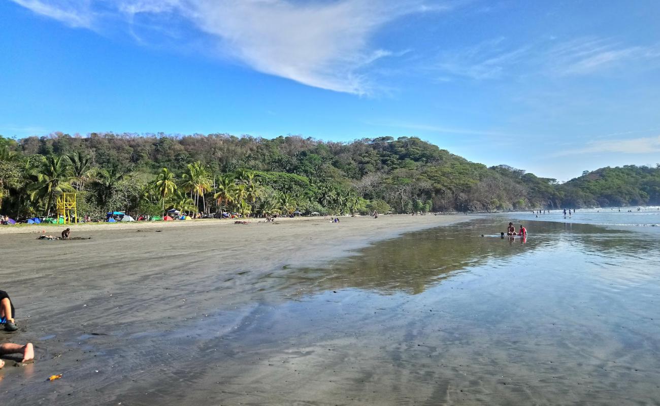 Foto de Coyote Beach con arena brillante superficie