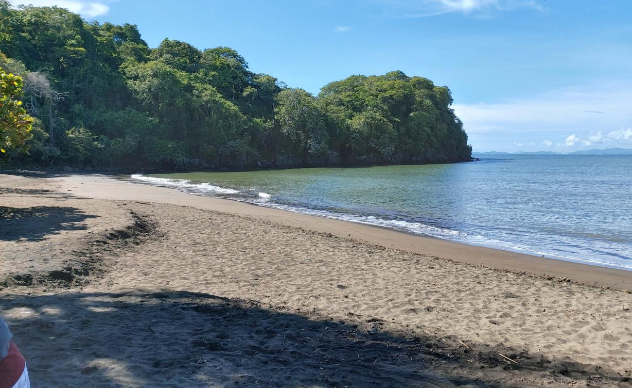 Foto de Playas De Doña Ana con arena oscura superficie