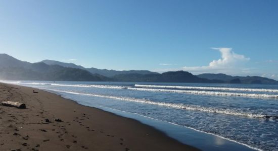 Playa Tarcoles