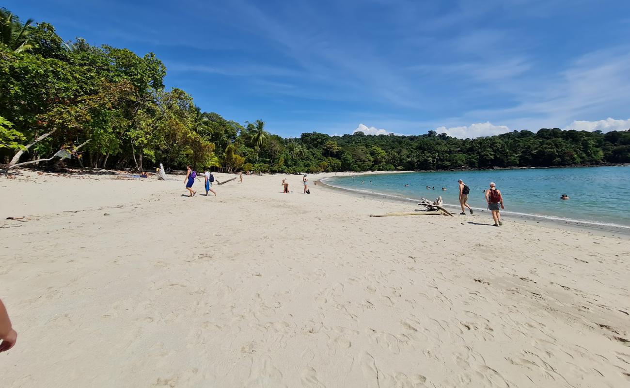 Foto de Playa Manuel Antonio con arena brillante superficie