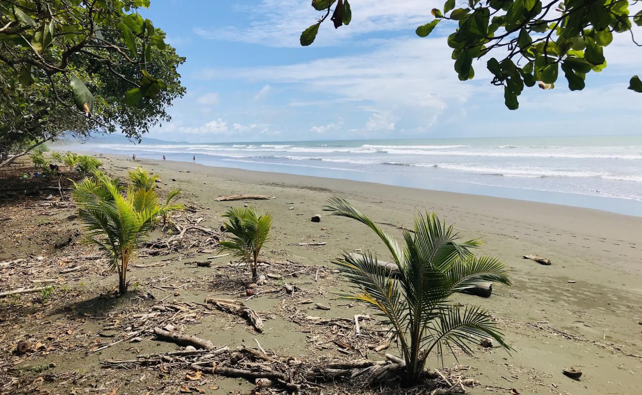 Foto de Playa Matapalo con arena brillante superficie