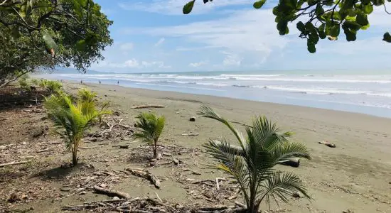 Playa Matapalo