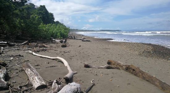 Playa puerto nuevo