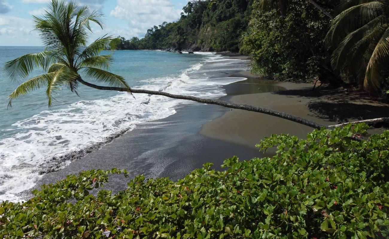 Foto de Playa San Pedrillo con arena oscura superficie