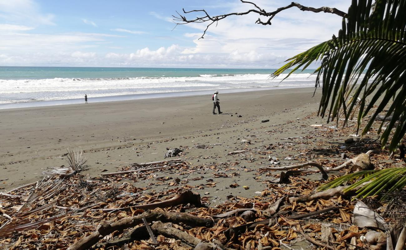 Foto de Playa Carate con arena oscura superficie