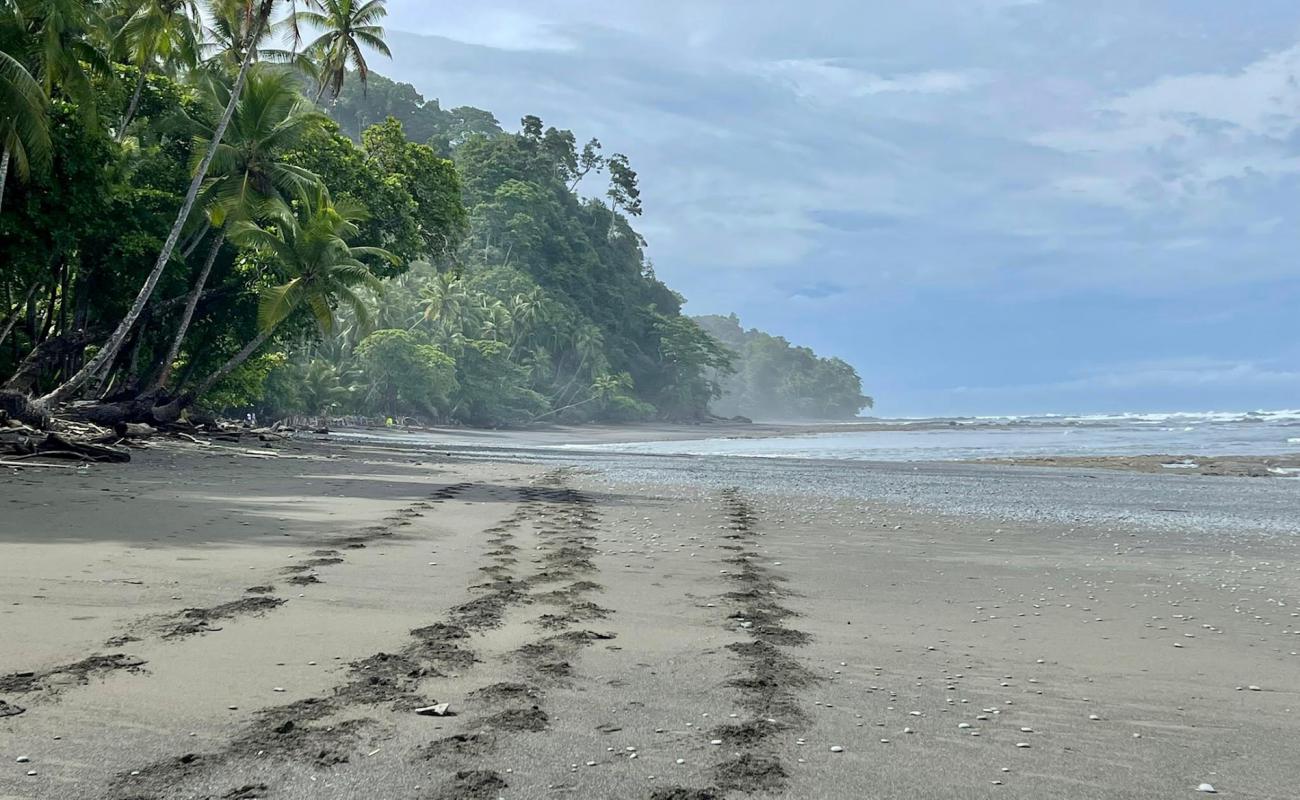 Foto de Playa Banco con arena/guijarros negro superficie