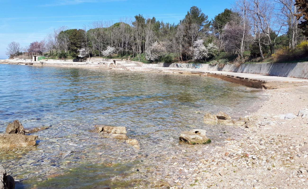 Foto de Savudrija beach con piedra superficie