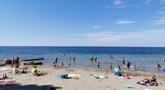 Umag Sandy beach