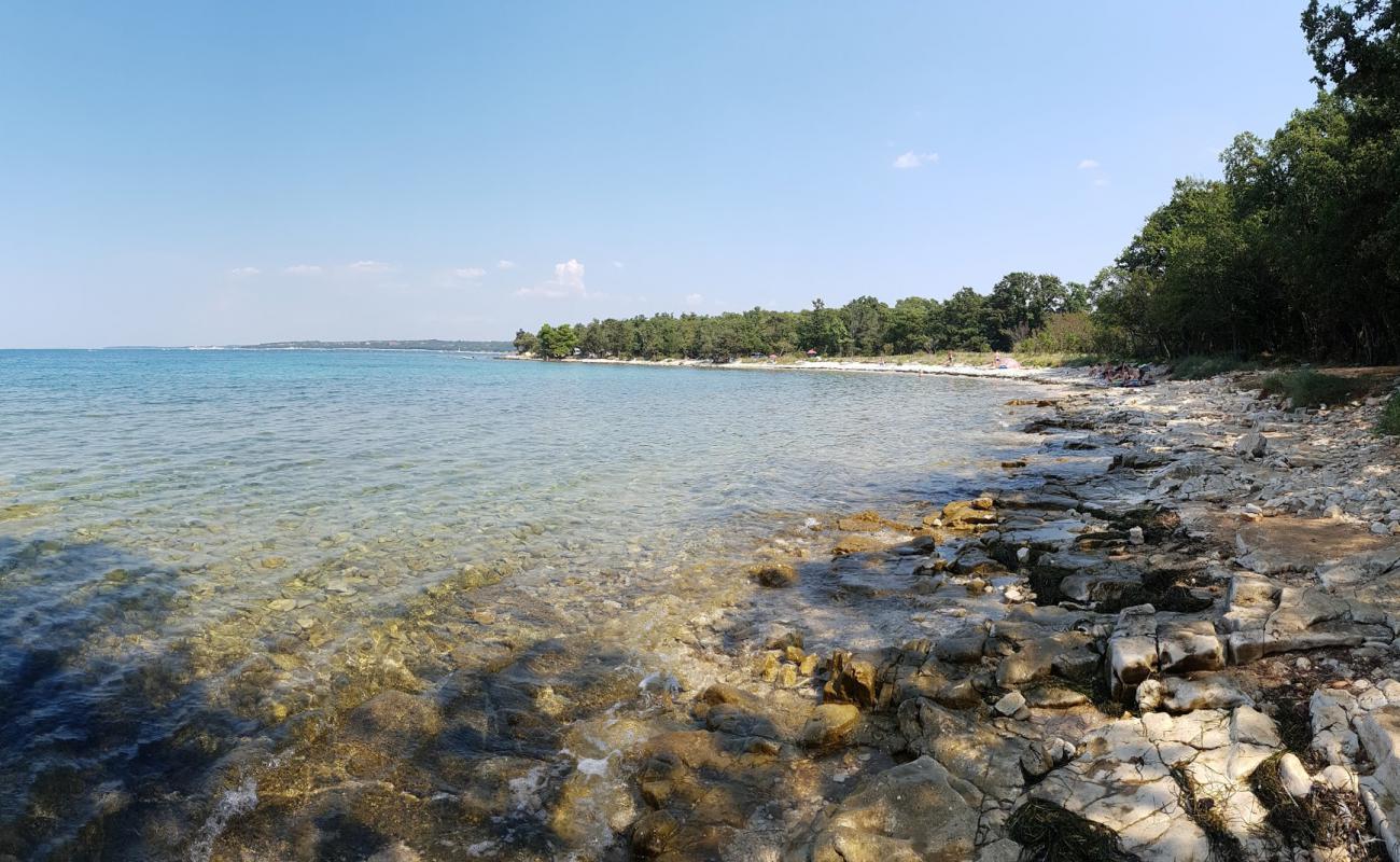 Foto de Plicina beach con piedra superficie