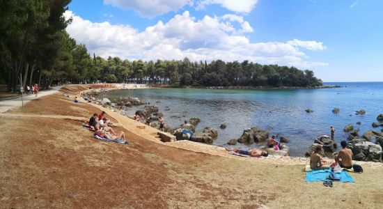 Cuvi beach