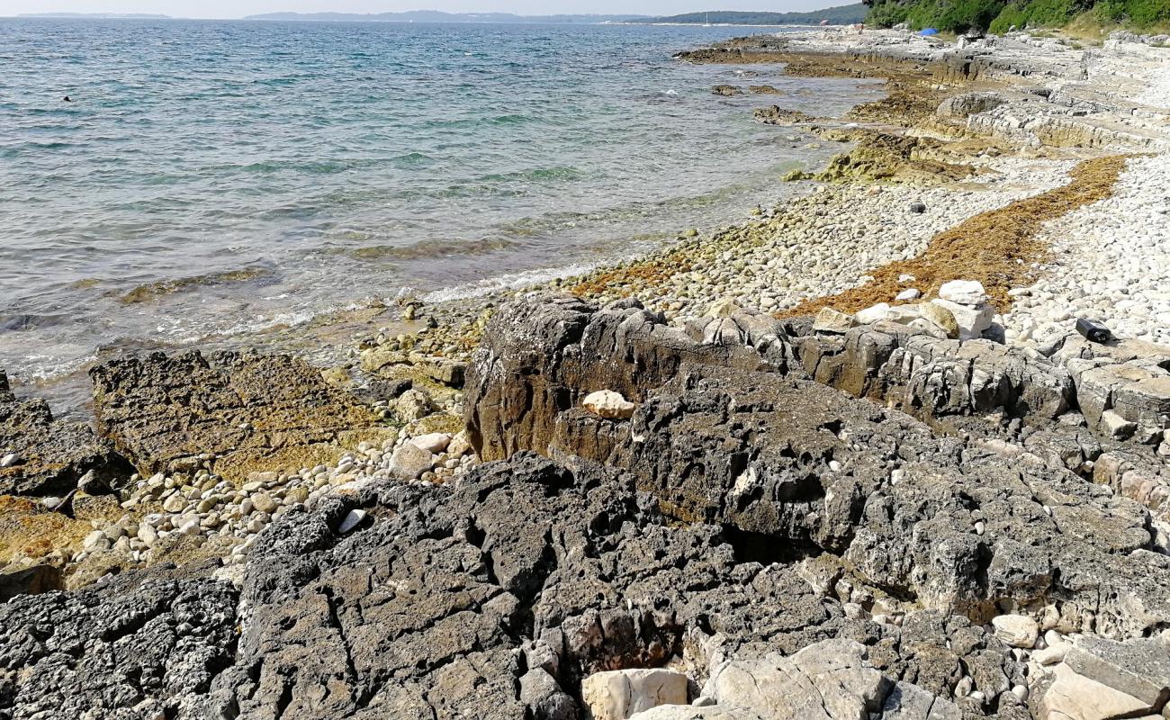 Foto de Coala beach con piedra superficie