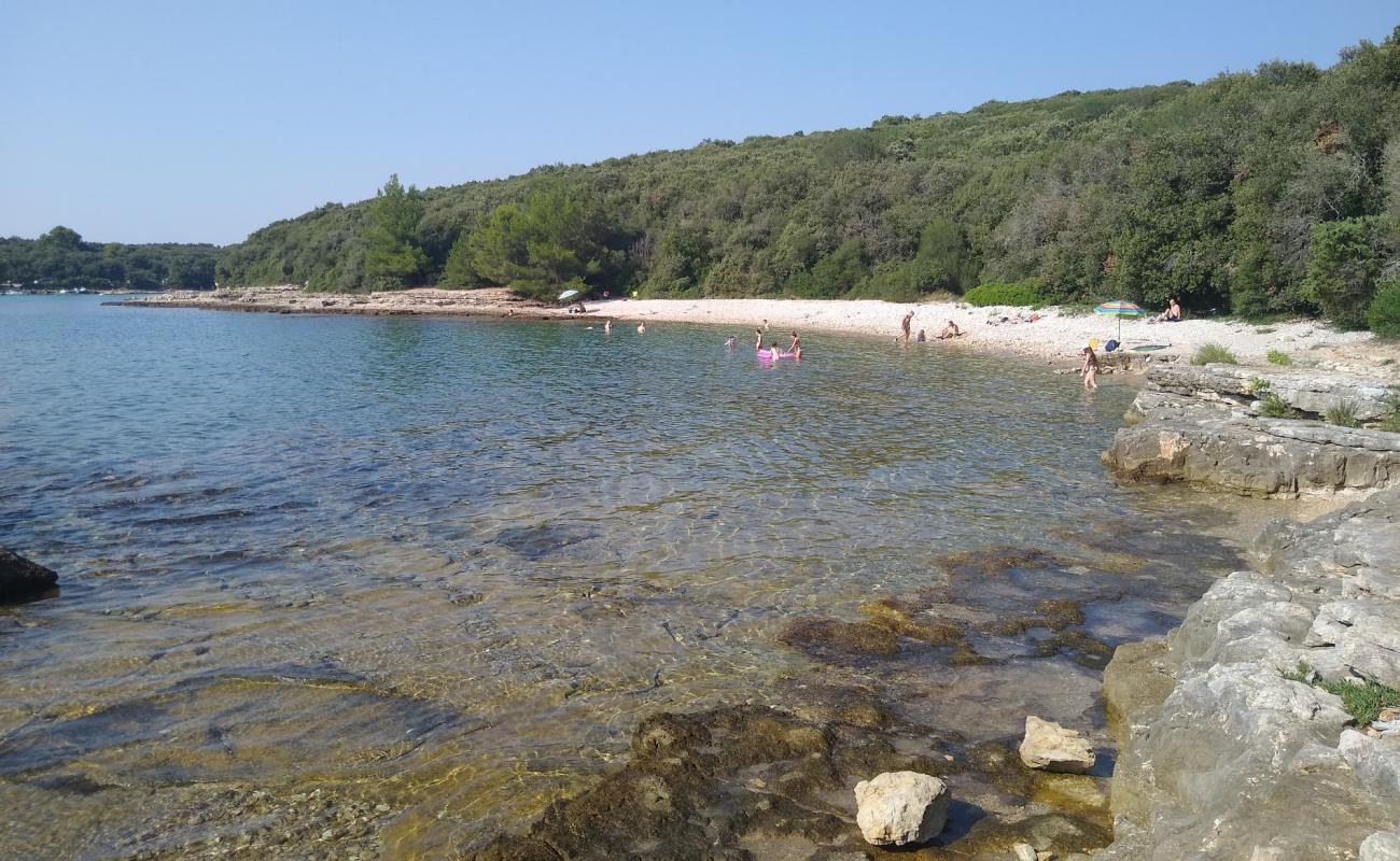 Foto de Kanalic beach con piedra superficie