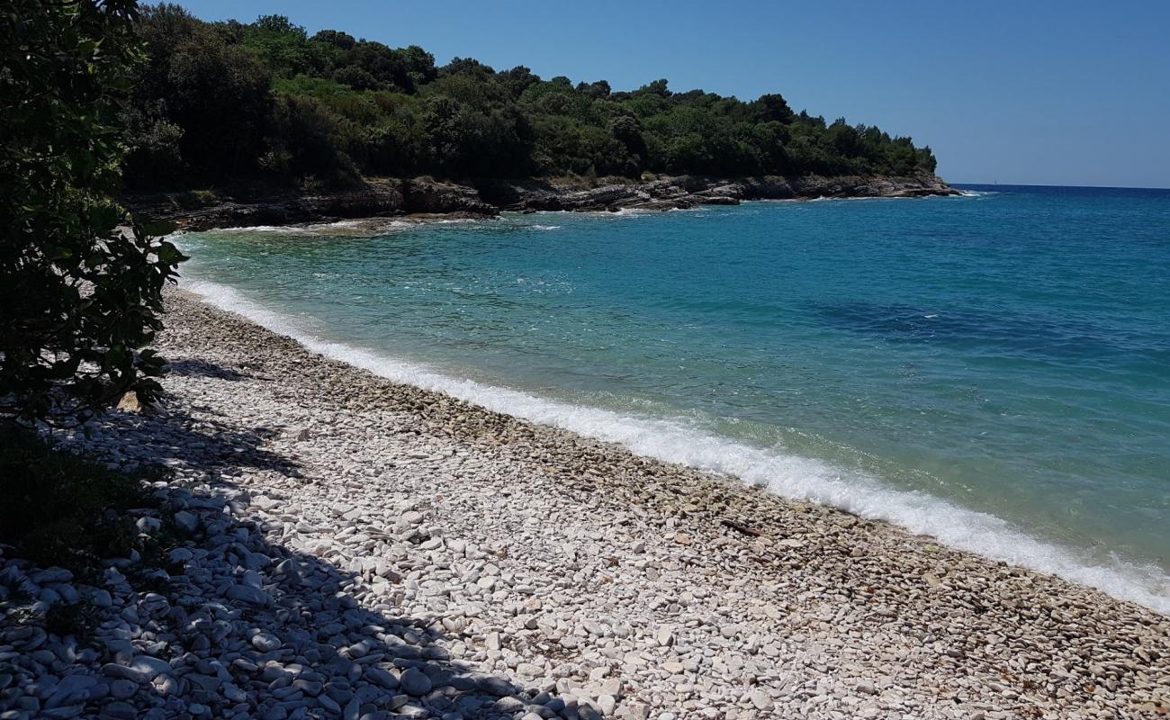 Foto de Polje beach con piedra superficie