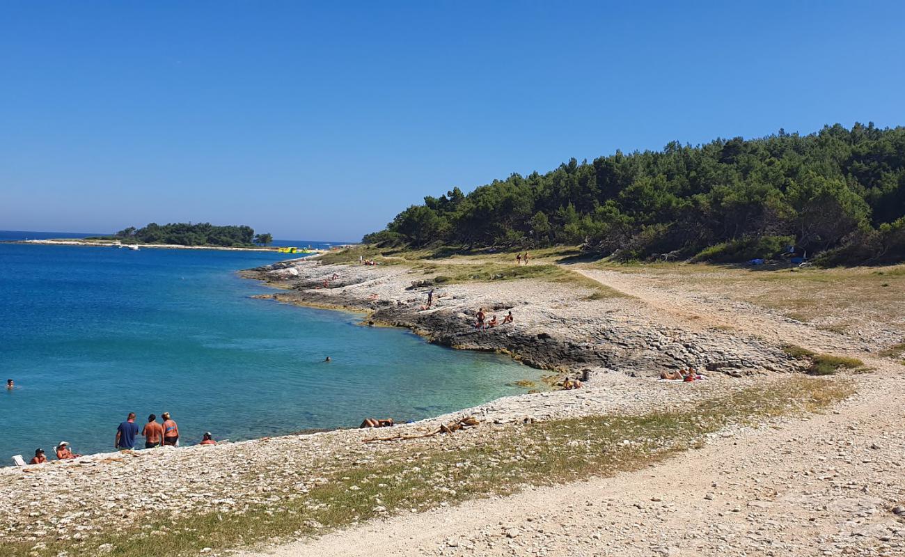 Foto de Drazice beach con guijarro ligero superficie