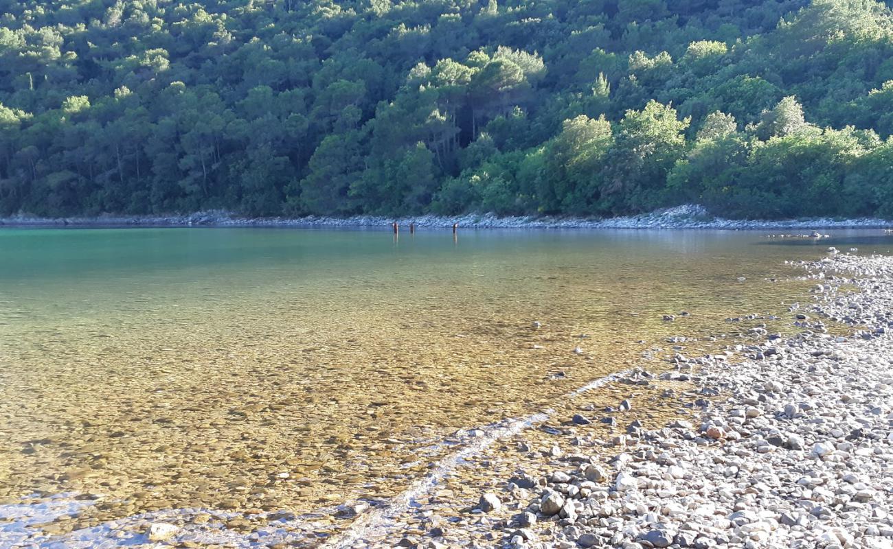 Foto de Prtlog beach con piedra superficie