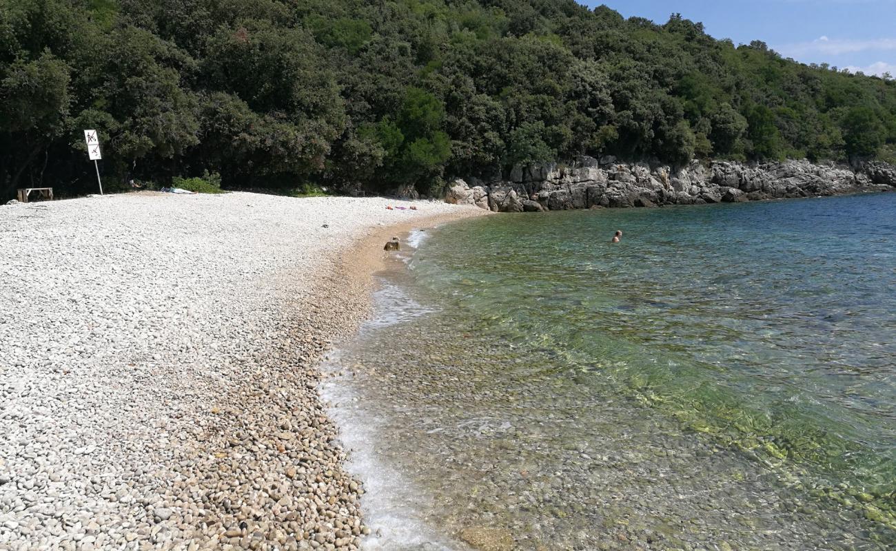 Foto de Bobina beach con guijarro ligero superficie