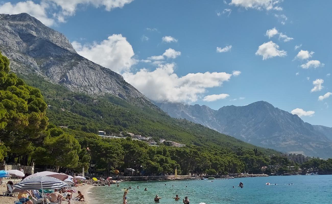 Foto de Playa Punta Rata con guijarro fino claro superficie