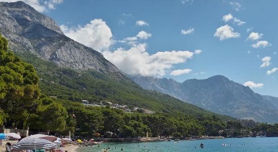 Playa Punta Rata