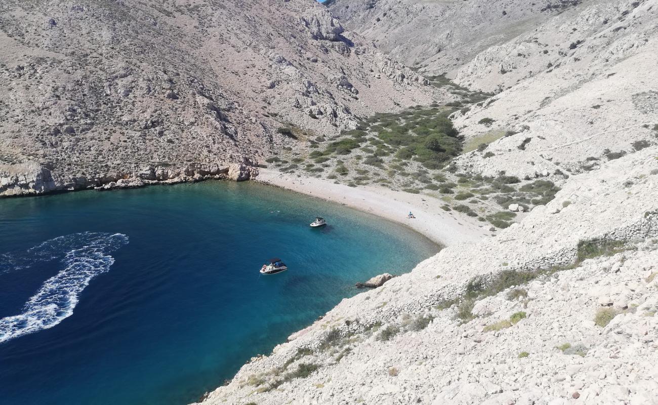 Foto de Uvala Vela Draga con guijarro ligero superficie